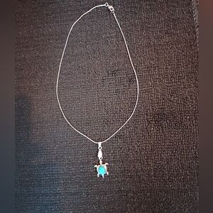 Native American Turtle Pendant Necklace
